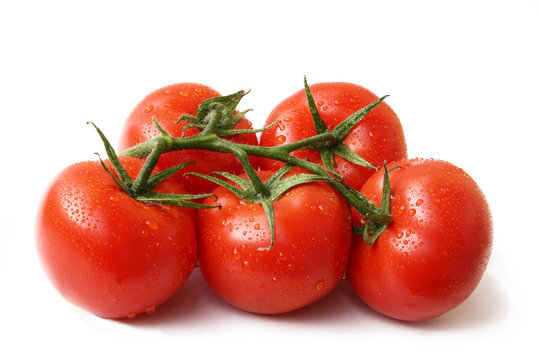 Tomaten