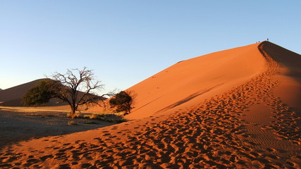 désert namibien