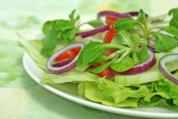 frisch salat