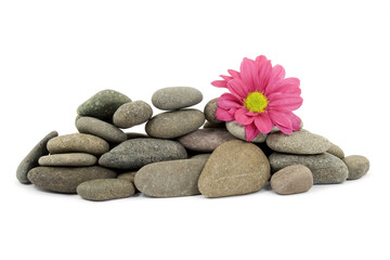 Fototapeta na wymiar zen / spa stones with flowers