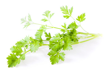Parsley