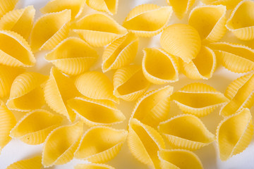 Conchiglie