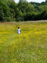 Fototapeta premium Young boy walking through buttercups