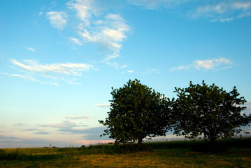 Fototapeta premium landscape