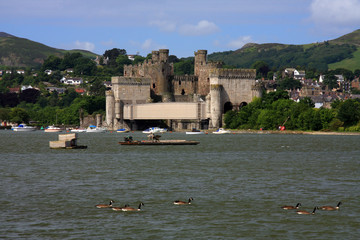 Conwy Castle