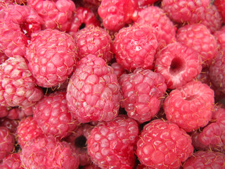 Raspberries 