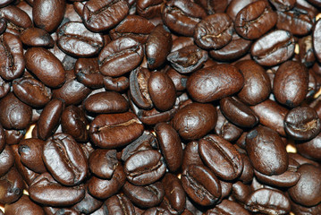 Kenya Coffee