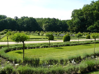Château de Chenonceau