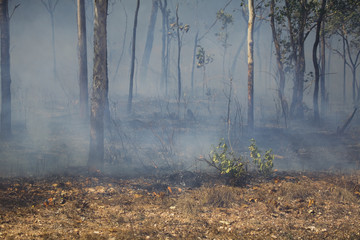 smoke after the fire