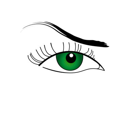illustration of green eye, isolated
