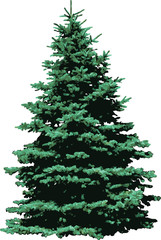 The isolated tree