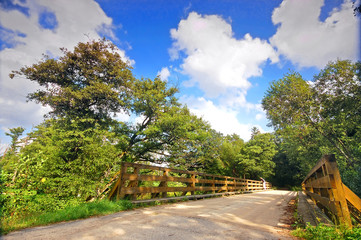Fototapeta premium Summer landscape