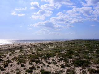 Beach shoreline
