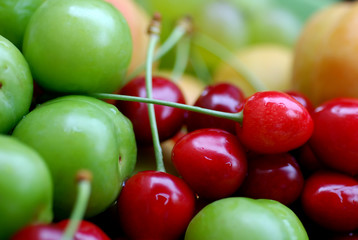 Close up to delicious fresh sour cherries and plums