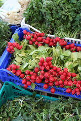 Produce, Roman Market