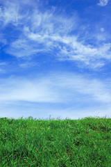Green field and a blue sky with clouds