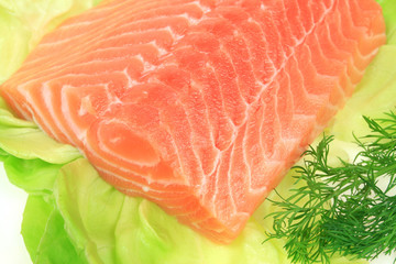 Salmon