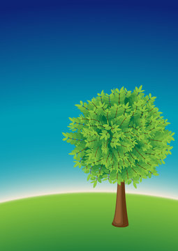 Detailed tree on empty hill in bright colors (Vector)