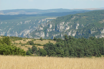 Gorges du tarn,Lozére
