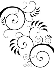 Beautiful leaf for you