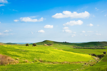 Fototapeta na wymiar pagórkowaty krajobraz z drzew, trawy żółty i Białej Chmury
