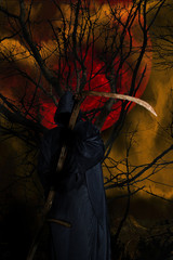 Der Herr des Schattenreiches