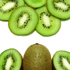 Fototapeta premium fond kiwi