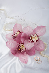 Pink Orchids And Rings