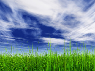 Fototapeta na wymiar 006 (a) grass at 9000 sky 002