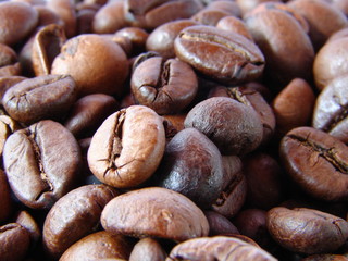 Coffee beans macro