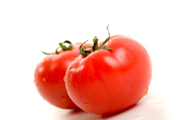 Tomato