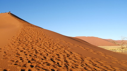 Fototapeta na wymiar Désert du Namib, Namibie