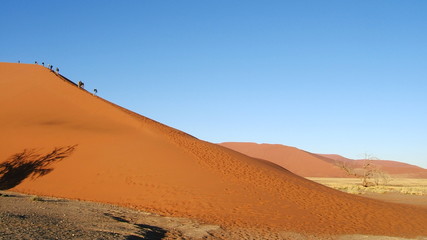Fototapeta na wymiar Désert du Namib, Namibie