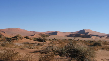 Fototapeta na wymiar Désert en Namibie