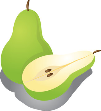 Pear Illustration