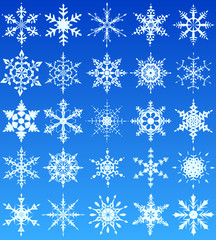 Fototapeta na wymiar Set of 30 different snowflake designs