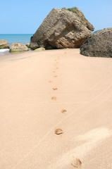 Fototapeta na wymiar footsteps at the beach
