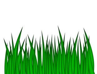Obraz premium Green Grass Illustration
