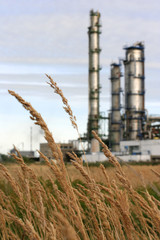 industrie et nature