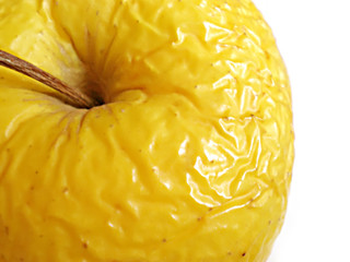 old yellow apple macro