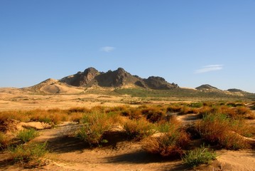 desert in inner mongolia of China