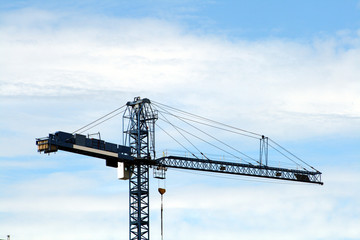 crane