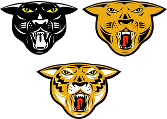 Tiger, puma and cougar heads