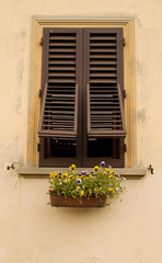 Fototapeta na wymiar Flower Window