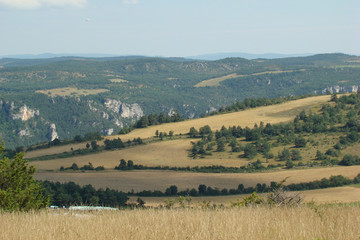 Obraz premium Causse de Sauveterre,Lozère