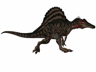 Fototapeta premium Spinosaurus-3D Dinosaurier