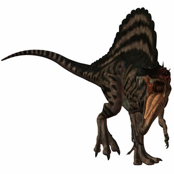 Spinosaurus-3D Dinosaurier