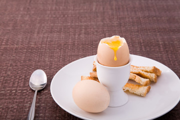 Dippy Egg