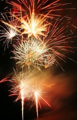 Fototapeta premium Firework