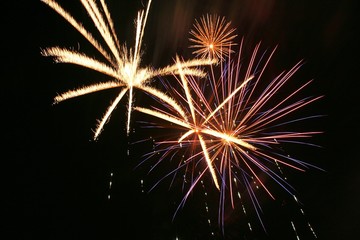 Firework